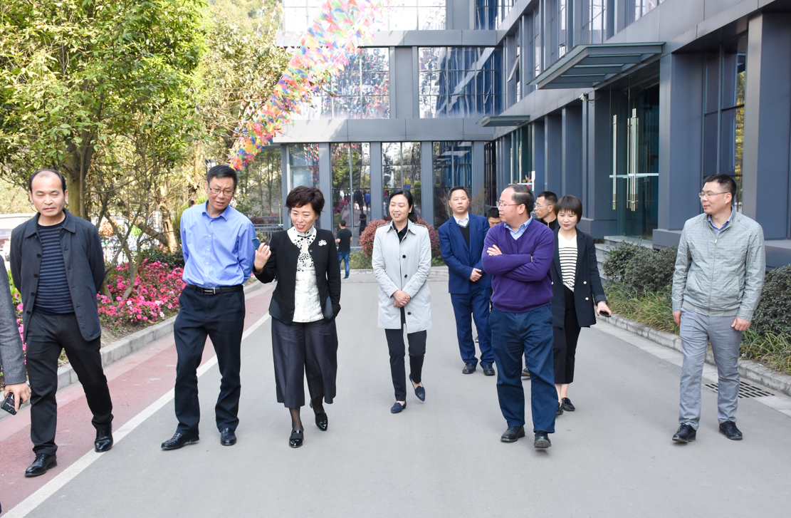 內(nèi)江市副市長陳朗調(diào)研船石湖運動特色小鎮(zhèn)(圖3)