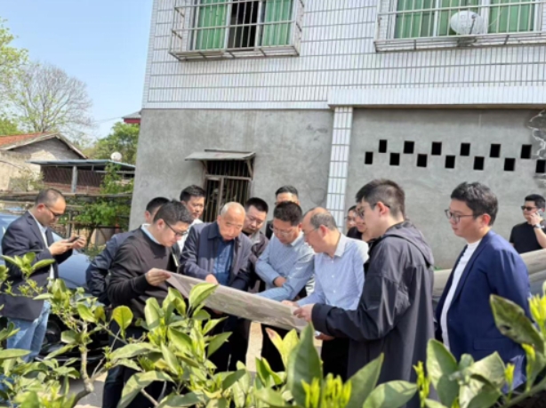 簡陽市委市政府全力推進(jìn)葫蘆壩鄉(xiāng)村振興項(xiàng)目 (圖2)